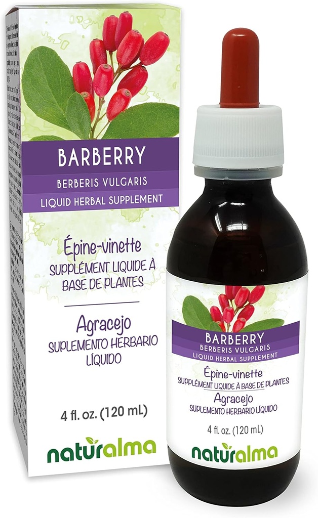 Naturalma Barberry (Berberis vulgaris) Rodbark Alkohol- Gratis tinktur - 4 fl oz Liquid Extract in Drops - Herbal Supplement - Vegan
