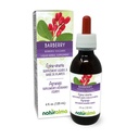 Naturalma Barberry (Berberis vulgaris) Rodbark Alkohol- Gratis tinktur - 4 fl oz Liquid Extract in Drops - Herbal Supplement - Vegan