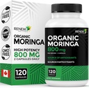 Renew Actives Moringa Leaf Supplement 800MG per 2 Capsules - Antioxidant- Rich Moringa Oleifera - fremmer godt helbred & Wellness - Let at synke - Made in Canada - 120 Kapsler