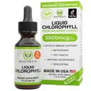 Benevolent Chlorophyll Liquid Drops - Detox & immunforsvar, intern deodorizer & hudsundhedstillæg, non-GMO, 4 måneders forsyning, naturlige Mint Flavor