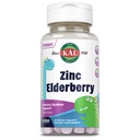 KAL Kids Zink Elderberry dinosaurer, immunsupport * for børn w / Sambucus Elderberry, Hurtig opløsning blandet bær ActivMelts, Fun, Tasty Dino Shapes, Vegan, 90 Servere, 90 Micro Tablets