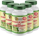 Sunshine Naturals Guisazo & Chancapiedra Herbal Blend, Natural Dietary Supplement for Wellness Support, 90 kapsler. Pakning á 5