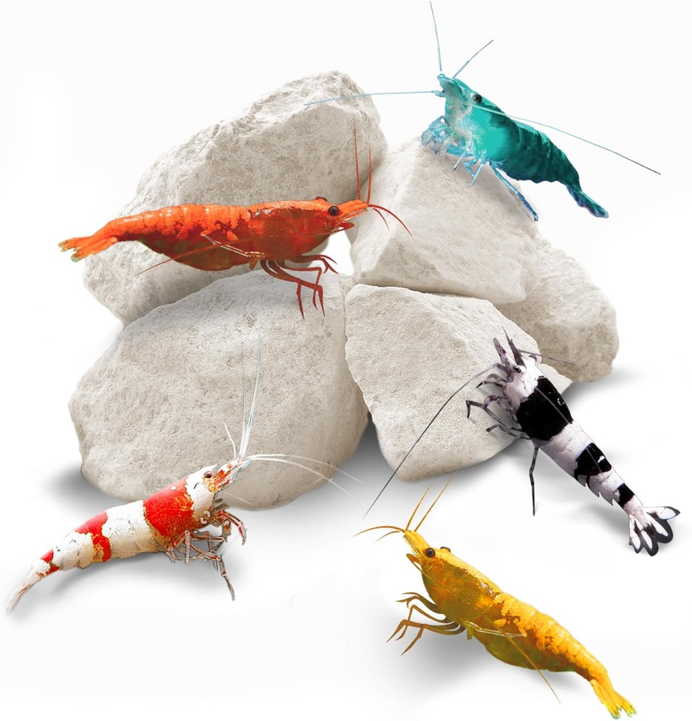 Sungrow Rejer Rocks, Calcium, Magnesium Rocks til Crayfish, Hermit Crab, Snails, Crustacean Care, Aquarium Decor til Crystal Red, Amano og Ghost Rejer, Nano Tank Tilbehør, Fisk Tank Forsyninger