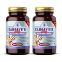 Solgar Kangavites, Bouncin 'Berry Flavor - 120 tyggetabletter, pakke med 2 - Komplet Multivitamin & Mineral Formel til børn - Vegan, Gluten Free