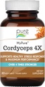 PURE VÆSENTLIGE ETIKER MyPure Cordyceps 4X svampe - Koncentreret Cordyceps Svampe Pulver Kosttilskud til immunsystem, Stress Response, Fysisk og mental ydeevne - 1 måned Supply