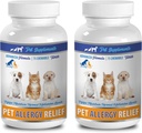 Hundeimmunsystem kosttilskud - PET Allergi Relief - for hunde og katte - Advanced Formel - Burdock Root til hunde - 2 Flaske (150 Chews)