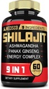 Shilajit Supplement med Ashwagandha Root, Panax Ginseng, L- Arginin, Chaga & Mere - Shilajit Pure Himalayan Organic - immunsystem, energiproduktion, Stamina & Komfortable Mood - 60 kapsler