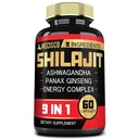 Shilajit Supplement med Ashwagandha Root, Panax Ginseng, L- Arginin, Chaga & Mere - Shilajit Pure Himalayan Organic - immunsystem, energiproduktion, Stamina & Komfortable Mood - 60 kapsler