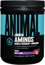Animal Omega Omega 3 & 6 supplement med Fish Oil & Flaxseed Oil Plus Juiced Aminosyrer BCAA / EAA Matrix til inddrivelse - 30 Servere hver