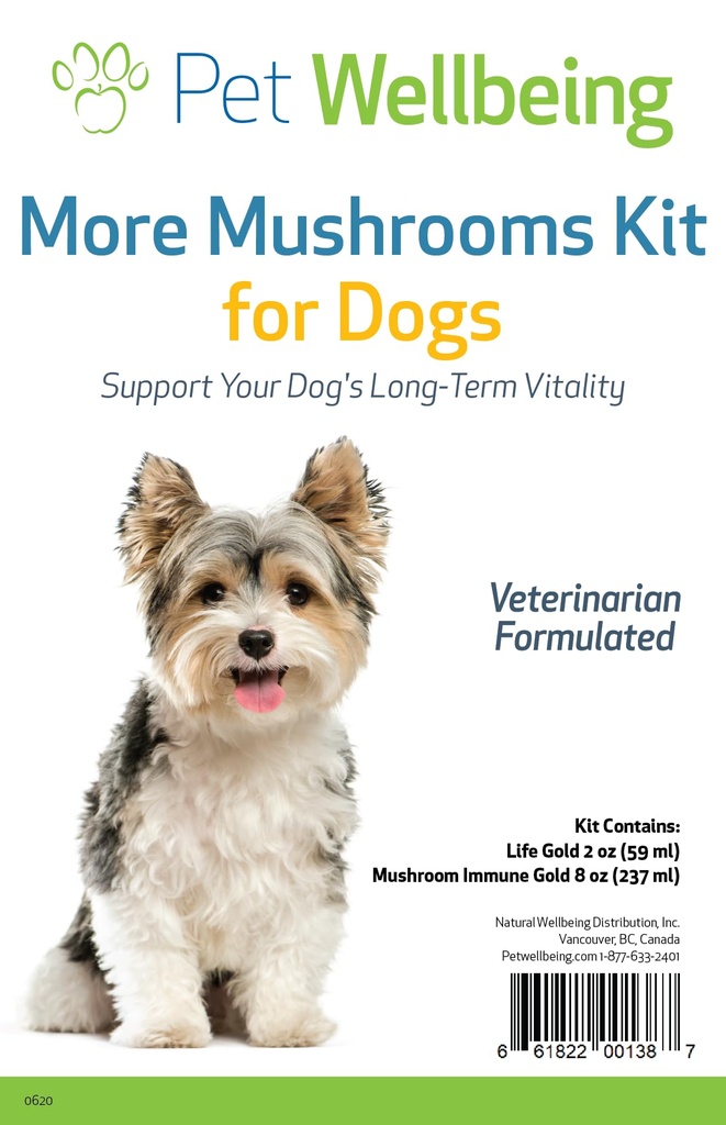 Pet Wellbeing More Mushrooms Kit til Hunde - immunsystem support og antioxidant beskyttelse - Vet- Formuleret med Tyrkiet Hale, Reishi, Maitake, Astragalus