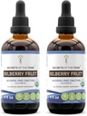 Secrets of the Tribe Bilberry Fruit Alcohol- Free Liquid Extract, USDA Organic Bilberry (Vaccinium Myrtillus) Tørret frugt tinktur supplement (2x4 FL OZ)