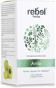 Rebel urter Amla Kapsler (Amalaki) - immunforsvar, Vegan, Gluten- Free, Ayurvedic, Antioxidant, Certified Organic Amla