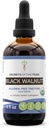 Secrets of the Tribe Black Walnut USDA Organic Mezzogiorno 124; Alkohol- Free Extract, High- Potency Herbal Drops Mezzogiorno 124; Lavet af 100% Certified Organic Black Walnut (Juglans Nigra) Tørret Hull 4 oz