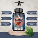 APOLLO 'S HEGEMONY Alpha- GPC 600 mg per daglig dosis - 90 Vegan Cholin kapsler - 99% Cholin Alfoscorate Kosttilskud - Lipid Cholin - Hukommelse og koncentration kapsler