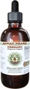 Oregano Alkohol- Free Liquid Extract, Organic Oregano (Origanum vulgare) Tørret Leaf Glycerite Natural Herbal Supplement, Hawaii Pharm, USA 4 fl.oz
