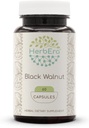 HerbEra Black Walnut 60 Capsules, 500 mg, Black Walnut (Juglans Nigra) Dried Hull (60 Capsules)