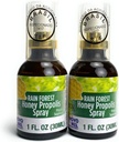 Brasiliansk Green Bee Propolis and Rain Forest Honey Oral Spray, 2 Flaske Pack