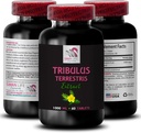 Stamina Power - TRIBULUS TERSURUS UDDRAG - Energi til aktivitet, energistøtte Formel, aktiv energistøtte, Plantbaseret energi Boost, Aktivitet Power, aktiv workout Boost 1 flaske 60 tabletter
