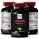 Stamina Power - TRIBULUS TERSURUS UDDRAG - Energi til aktivitet, energistøtte Formel, aktiv energistøtte, Plantbaseret energi Boost, Aktivitet Power, aktiv workout Boost 1 flaske 60 tabletter