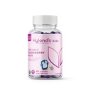 Hyland 's Kids Organic Elderberry Plus Gummies, Organic Black Elderberry med ZINC og C-vitamin, Immunstøtte til børn, 48 Vegansk Gummies