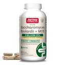 Jarrow Formulas Saccharomyces Boulardii + MOS Probiotics for Digestive Health and Intestinal Tract Support - 5 Billion CFU Per Serving - 90 Delayed Release Caps - Probiotic + Prebiotic - 90 Servings