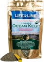 Life Line Organic Ocean Kelp pulver til katte, hunde, husdyr, og heste - Naturlig jod supplement til sund hud, Coat og tænder - Reducerer Plaque & Øger Metabolisme - 8 oz