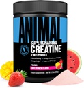 Animal Supercharged Creatinine Powder - Forstærket Creatinine Monohydrat med Betaine Vandfri, PurpleForce & Senactiv, Styrke, Endurance, Muscle Recovery for Mænd og Kvinder - Frugt Punch, 300g
