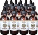 Hawaii iPharm Olive (Olea europaea) Økologisk tørret blade Veterinær naturlig alkohol-fri flydende ekstrakt, Pet Herbal Supplement 15x4 oz