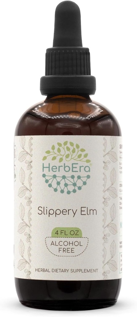 HerbEra Slippery Elm B120 Alkohol- Free Herbal Extract Tinktur, Koncentreret flydende dråber Natural Slippery Elm (Ulmus Rubra) 4 fl oz