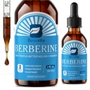 Berberine supplement med Ceylon Cinnamon - Berberine Flydende dråber med gurkemeje Curcumin, Ceylon Cinnamon, Bitter Melon, Berberine Phytosome til fordampning System, immunforsvar support -vegetar