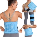 REVIX Gel Ice Pack til ryg discomfort Relief, Soft Plush Lining Ice Wrap til nederste ryg, skulder, Hip, Arm, Knee, Cold Compress Therapy, 16 × 9 "