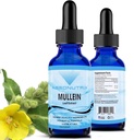 Absonutrix Mullein 300 mg, 4 Oz Liquid, 300 Servere, Made in USA, Quick Absorption, Kvalitet Potent Ingredienser, Non- GMO, GMP Certified Facility, Cruelty- Free Products