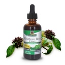 Naturens svar Alkohol- Free Eleuthero Root, 2- Fluid Ounces szág 124; Vegan - 124; Ingen konserveringsmidler Gluten Free Eleuthero Extract