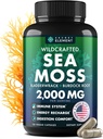 Sea Moss Capsules - Irish Sea Moss Advanced med Burdock Root, Bladerwrack & Muira Puama for Immunitet, Gut, & Energy - Superfood Sea Moss Kosttilskud w / Raw Sea Moss Powder - 120 Irish Seamoss Pills