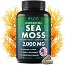 Sea Moss Capsules - Irish Sea Moss Advanced med Burdock Root, Bladerwrack & Muira Puama for Immunitet, Gut, & Energy - Superfood Sea Moss Kosttilskud w / Raw Sea Moss Powder - 120 Irish Seamoss Pills