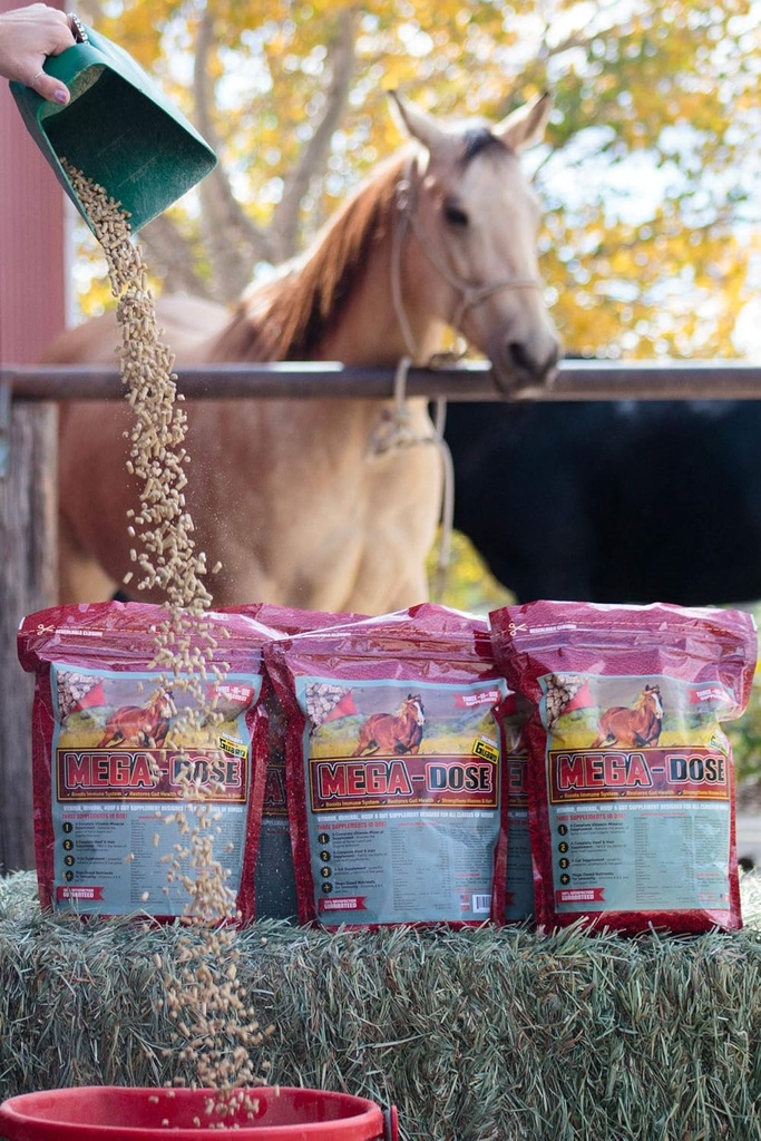 Mega Dose 40 lb, Equine Vitamin Mineral med en fuld servering af Horse Guard Supplement & Hoof Guard
