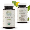 HerbEra Mælkebøtte Leaf USDA Organic 60 Capsules Measures 124; Natural Herbal Support 124; Certified Organic Vegetar Capsules and Organic Mælkebøtte (Taraxacum Officinale) Tørret Leaf (60 Capsules)