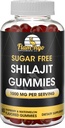 Sugar Free Shilajit Gummies (1000 mg servering) - Natural Himalayan Organic Fulvic Acid Shilajit Supplement for mænd og kvinder -60 Gummy Chews