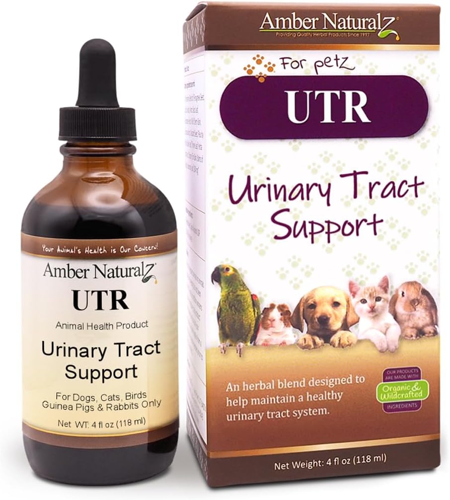 Amber NaturalZ UTR Urinary Tract Herbal supplement til hunde, katte, fugle, Guinea svin, og kaniner Buddy 124; Pet Herbal supplement til Brege Support 124; 4 Fluid Ounce glasflaske Buddy 124; Fremstillet i USA