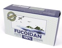 Fucoidan – 100% Natural Brown Seaweed Extract, Low Molecular Weight Marine Supplement, 50g (20 Sachets)