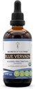 Secrets of the Tribe Blue Vervain USDA Organic Mezzogiorno 124; Alcohol- Free Extract, High- Potency Herbal Drops Mezzogiorno 124; Lavet af 100% Certified Organic Blue Vervain (Verbena Hastata) Tørret Herb (4 oz)