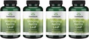 Swanson Stinging Nettle Leaf (Urtica Dioica) - Herbal supplement Fremme Urinære Tract & Respiratory Health Support - Kan støtte sund fluid balance - (120 kapsler) (4 pakke)
