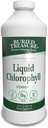 Begravet Treasure Liquid Chlorophyll 100 mg, Kosttilskud, Intestinal fordøjelsesstøtte Natural Body Deodorant Vegan Non- GMO Alkohol fri, Spearmint Flavor 32oz