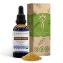 Secrets of the Tribe Yerba Mate USDA Organic Tincture against 124; Alcohol- Free Extract, High- Potency Herbal Drops against 124; Lavet af 100% Certificeret Organic Yerba Mate (Ilex paraguariensis) Tørret Leaf (2 fl oz)