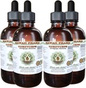 Cordyceps Alkohol- Free Liquid Extract, Cordyceps (Cordyceps Sinensis) Svampe Glycerit Hawaii Pharm Natural Herbal Supplement 4x4 oz