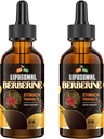 Berberine tillæg med Ceylon kanel 3000mg - høj biotilgængelighed Liposomal Berberine flydende dråber, Berberine HCL Complex Plus gurkemeje Kosttilskud, AMPK Activator, Egnet til kvinder, Men- 120ml