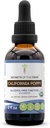 California Poppy USDA Organic Tincture Note 124; Alkohol- GRATIS Extract, High- Potency Herbal Drops Note 124; Fremstillet af 100% Certified Organic California Poppy (Eschscholzia Californica) Tørret urt og blomst (2 oz)