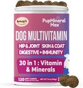 Hund Multivitamin Soft Chews - 120 Greve - Hund fælles tillæg, fordøjelsesbesvær, immunforsvar, hud, Coat - Kombineret Advanced Vitaminer til hunde, All Hund Age - Made in USA