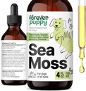 Forever Puppy Irish Sea Moss Drops for Dogs - Thyroid & Energy Support for All Breeds & Sizes - Dog Food Supplements with Liquid Seamoss Extract - Vitamins and Supplements - Sugar & Alcohol-Free -4 oz