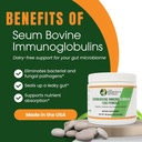 60 Servings – Contains Patented IgG Ingredient Immunolin® – Same Ingredient Used in Leading SBI Formulas – Serum Bovine Immunoglobulin (SBI) Powder – 150g Pure IgG with No Additives
